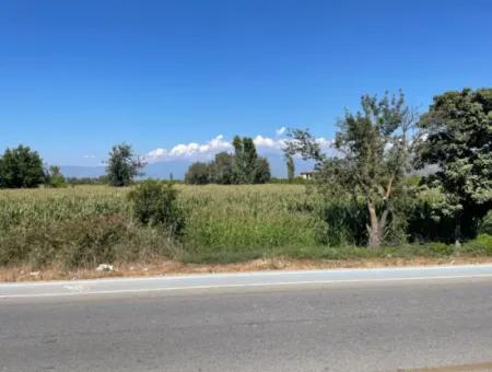 Dalyan Main Road Zero Land For Sale 8115M2 Commercial Land For Sale