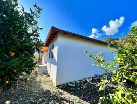 One-Storey House For Sale In 5000M2 Land In Çandır