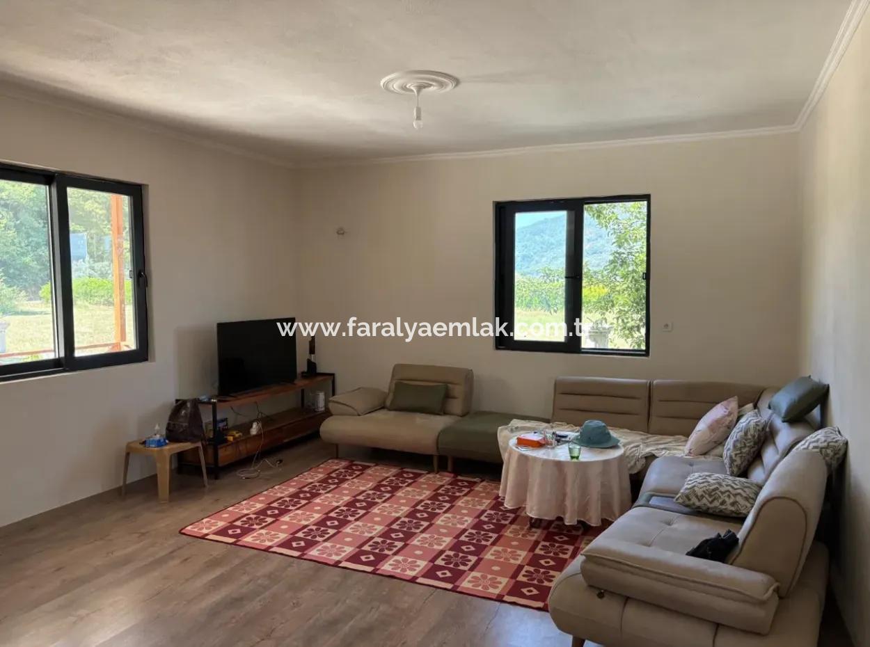 Dalyan Karadağ Mevkiinde 2500M2 Tarla İçerisinde 120M2 Müstakil Ahşap Ev