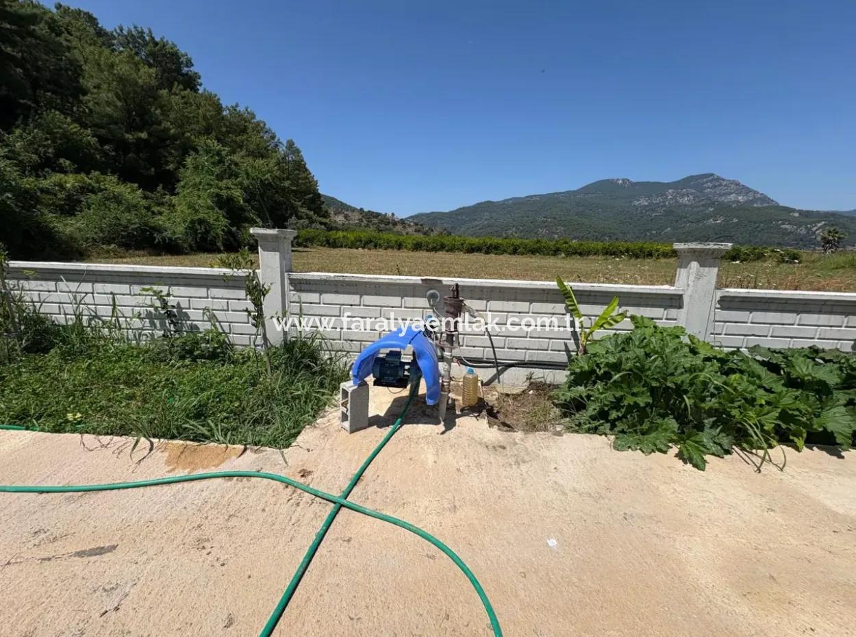 Dalyan Karadağ Mevkiinde 2500M2 Tarla İçerisinde 120M2 Müstakil Ahşap Ev