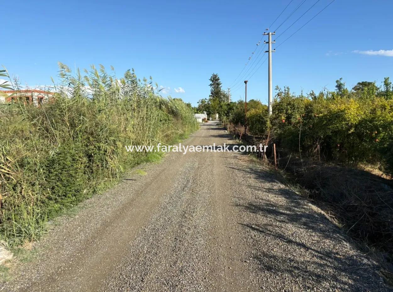 Ortaca Yeşilyurt'ta 3900M2 Satılık Arsa