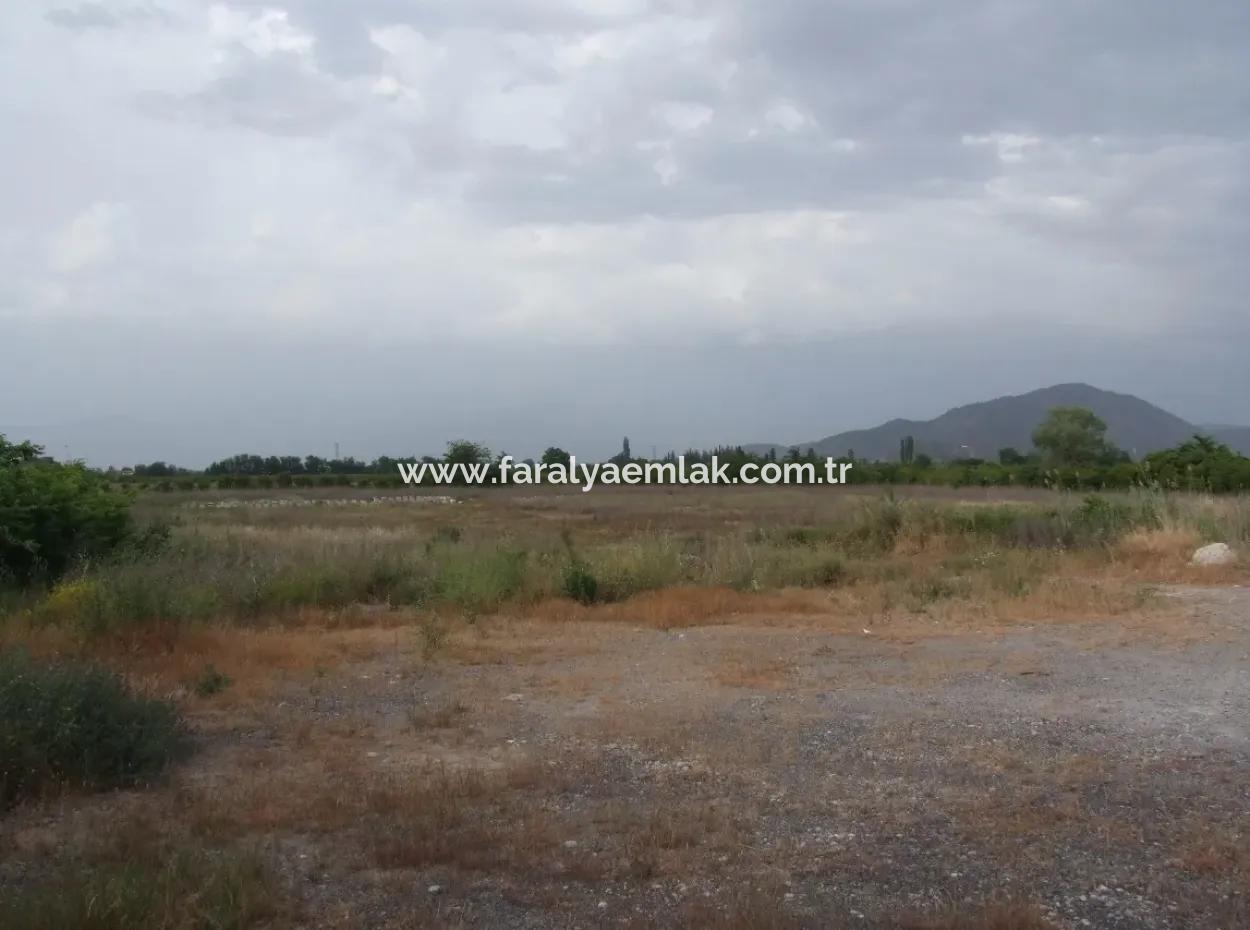 Dalyan Satılık Ticari Arsa Dalyan Anayol Üzerinde 17,805M2 Satılık Kelepir Arsa