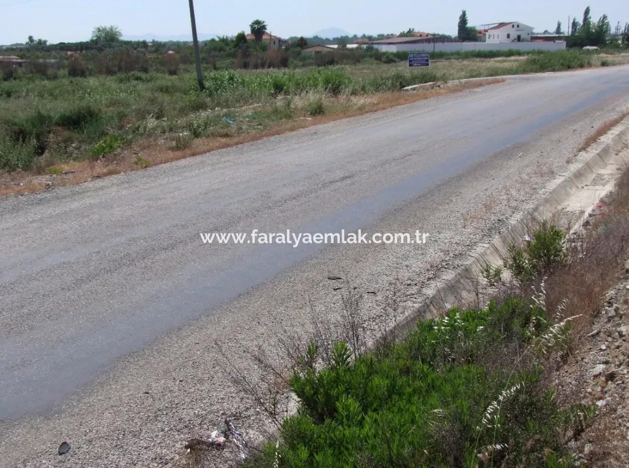 Fethiye Satılık Ticar Arsa Anayola Sıfır 2500M2 Satılık Kelepir Arsa