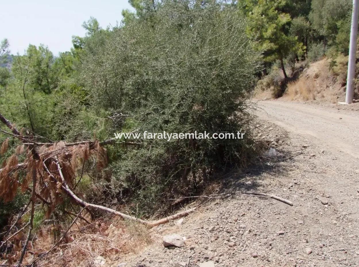 Sarıgerme Satılık Arsa Full Deniz Manzaralı Satılık Arsa