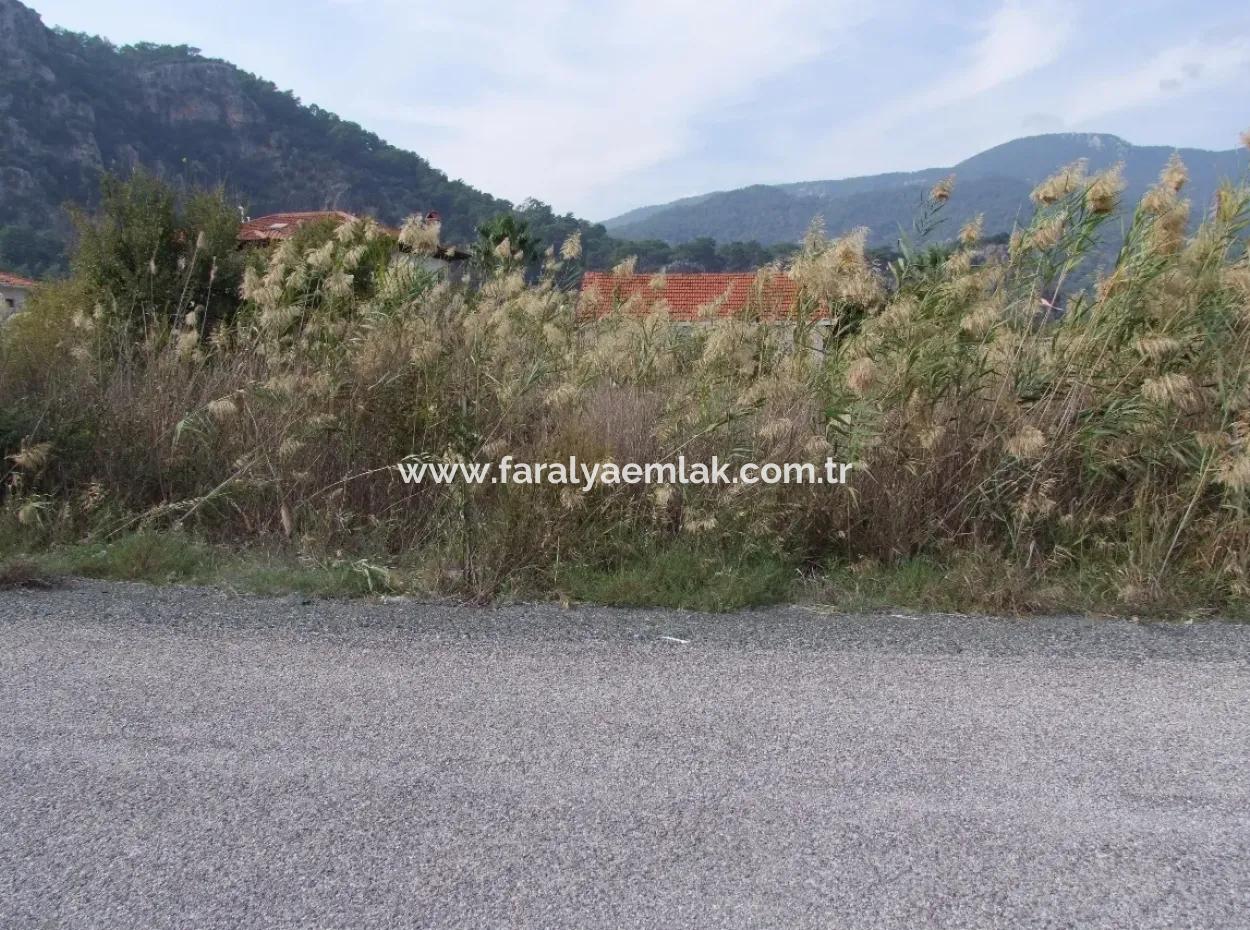 Dalyan Satılık Arsa Dalyan Gülpınar 751M2 Satılık Arsa