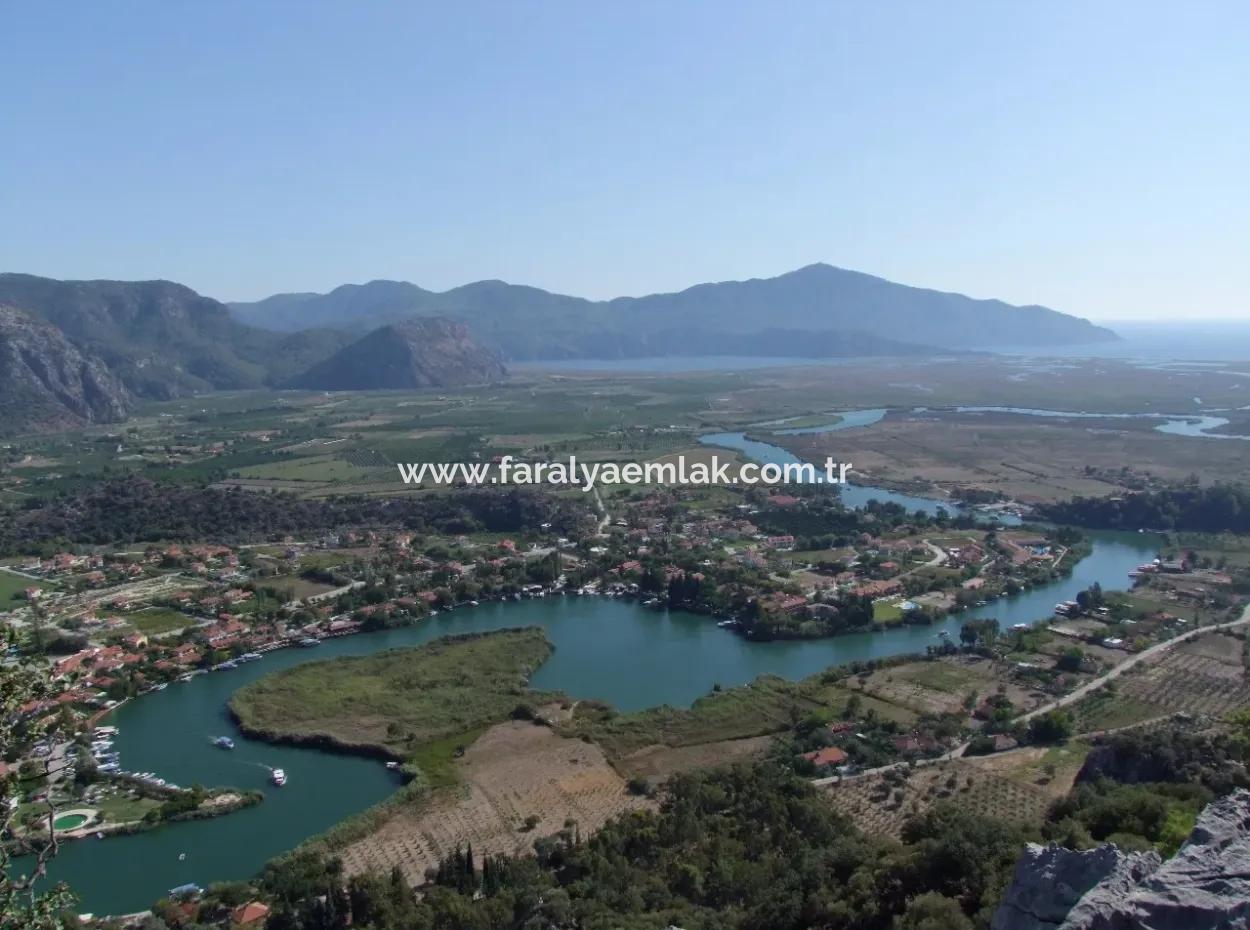 Dalyan Satılık Arsa Dalyan Maraşda 7300M2 %5 İmarlı Satılık Arsa