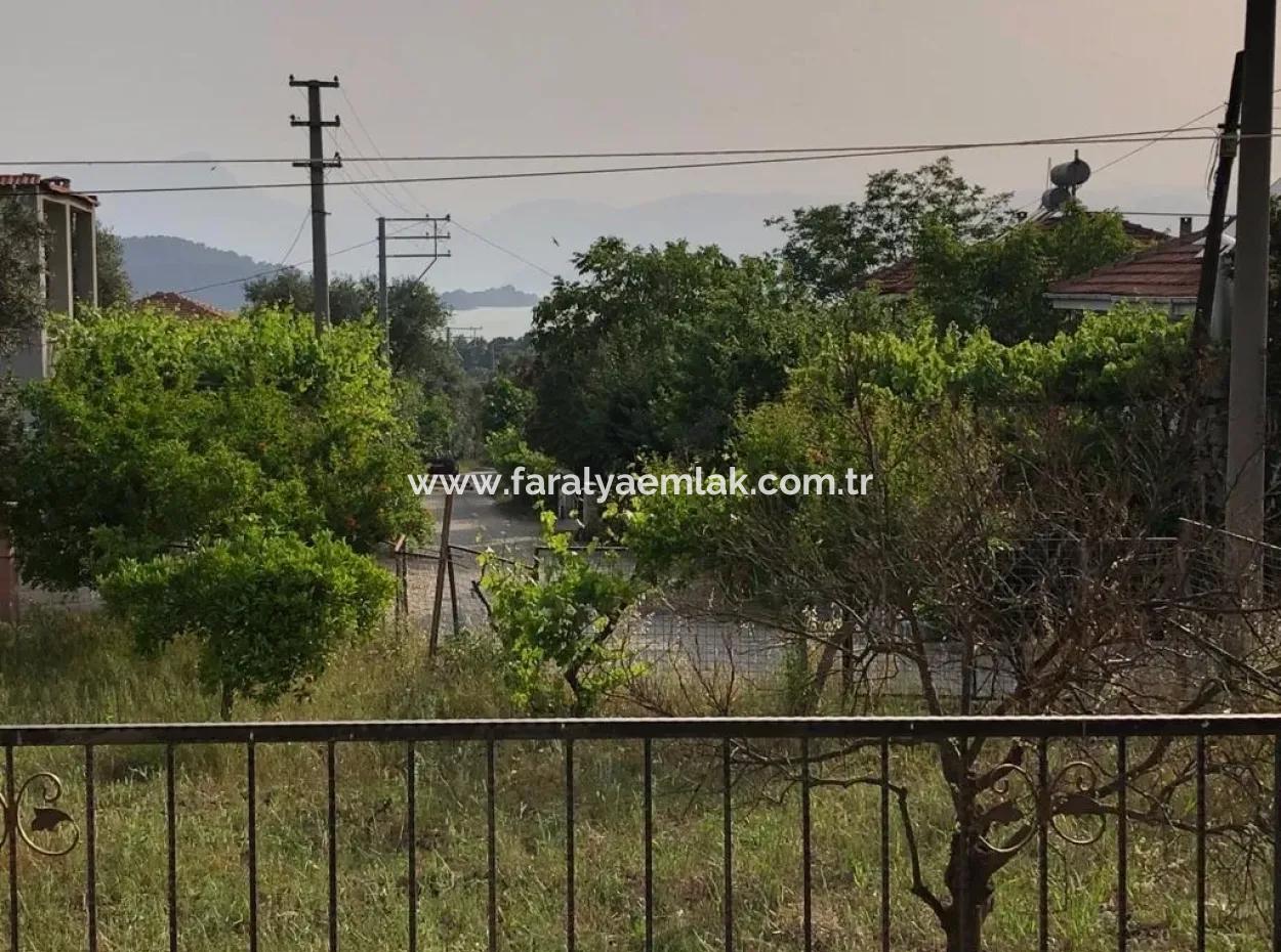 Köyceğiz Zeytinalanı'nda 903M2 2+1 Köy Evi Satılıktır.