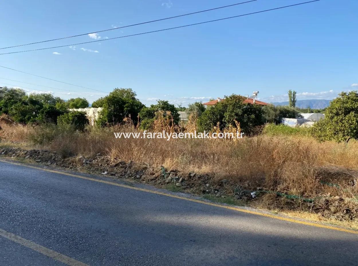 Kavakarası'nda 2506M2 Anayola Sıfır Satılık Arsa