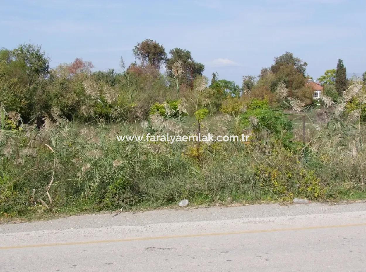 Güzelyurt Da Satılık Arsa Ana Yola Sıfır 5515M2 Satılık Arsa