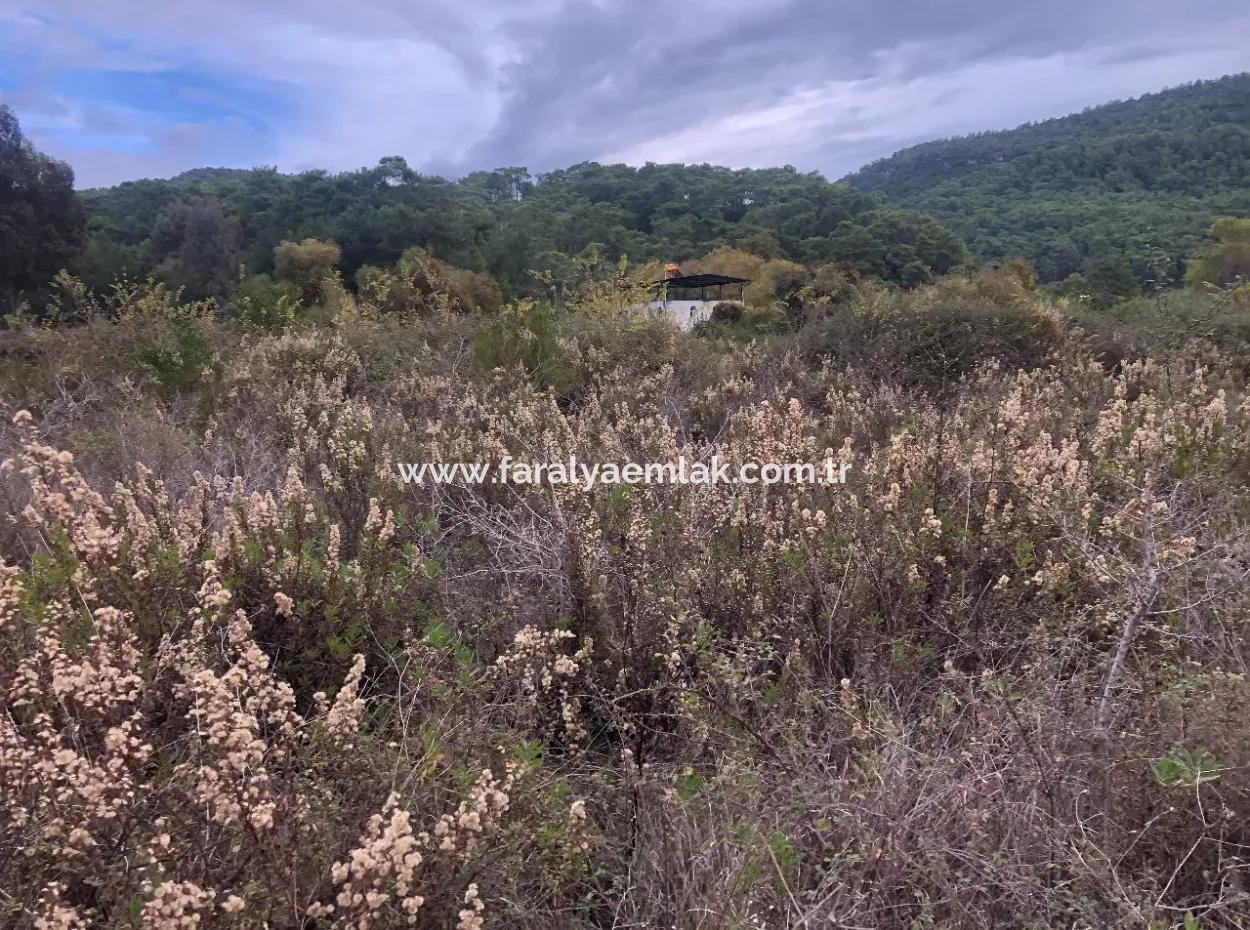 Çamlı Kanala Sıfır Satılık Arazi Arsa Çamlıda Deniz Manzaralı 28768M2 Satılık Arsa