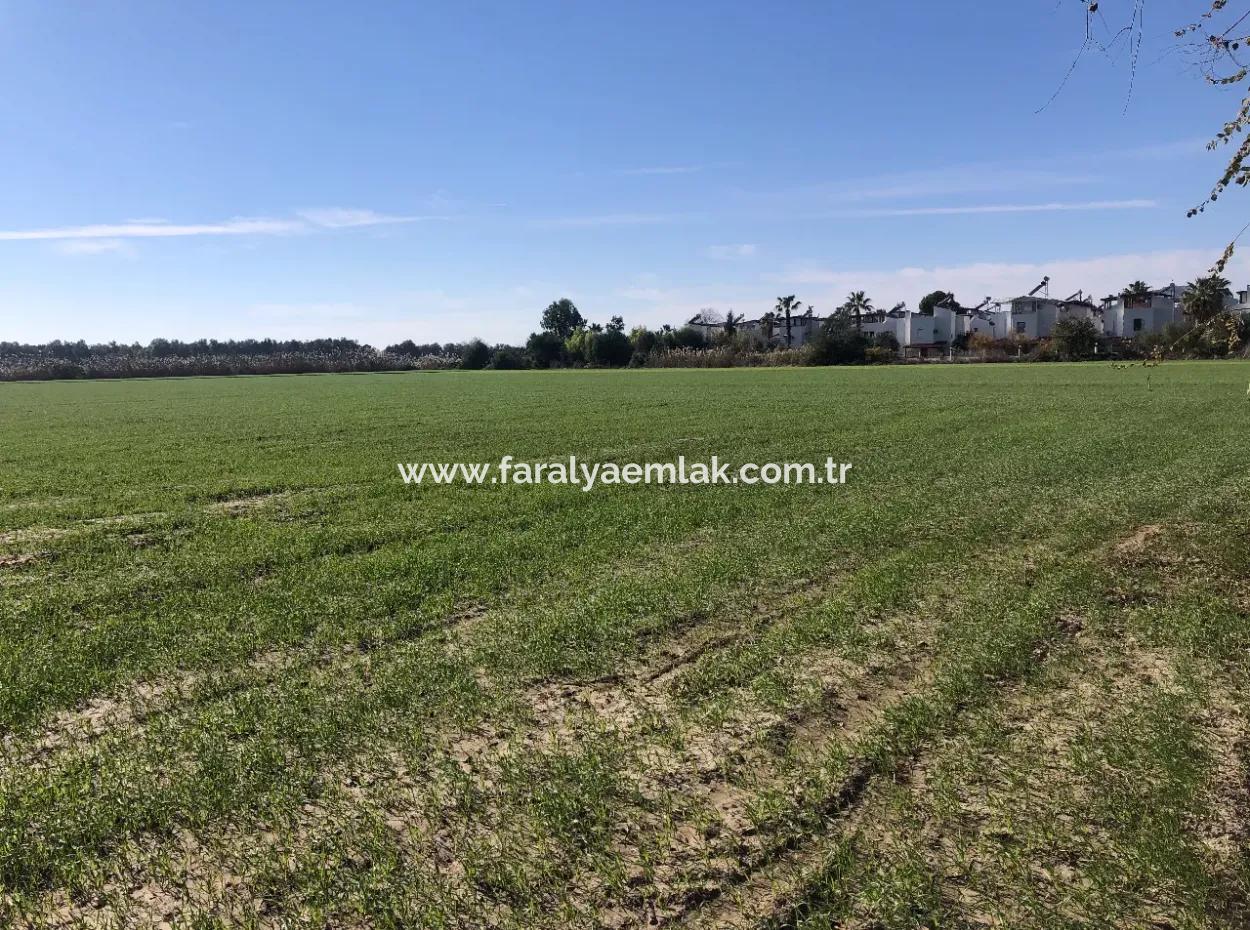 Sarıgermede Satılık Arsa Deniz Manzaralı 30,000M2 Satılık Arsa