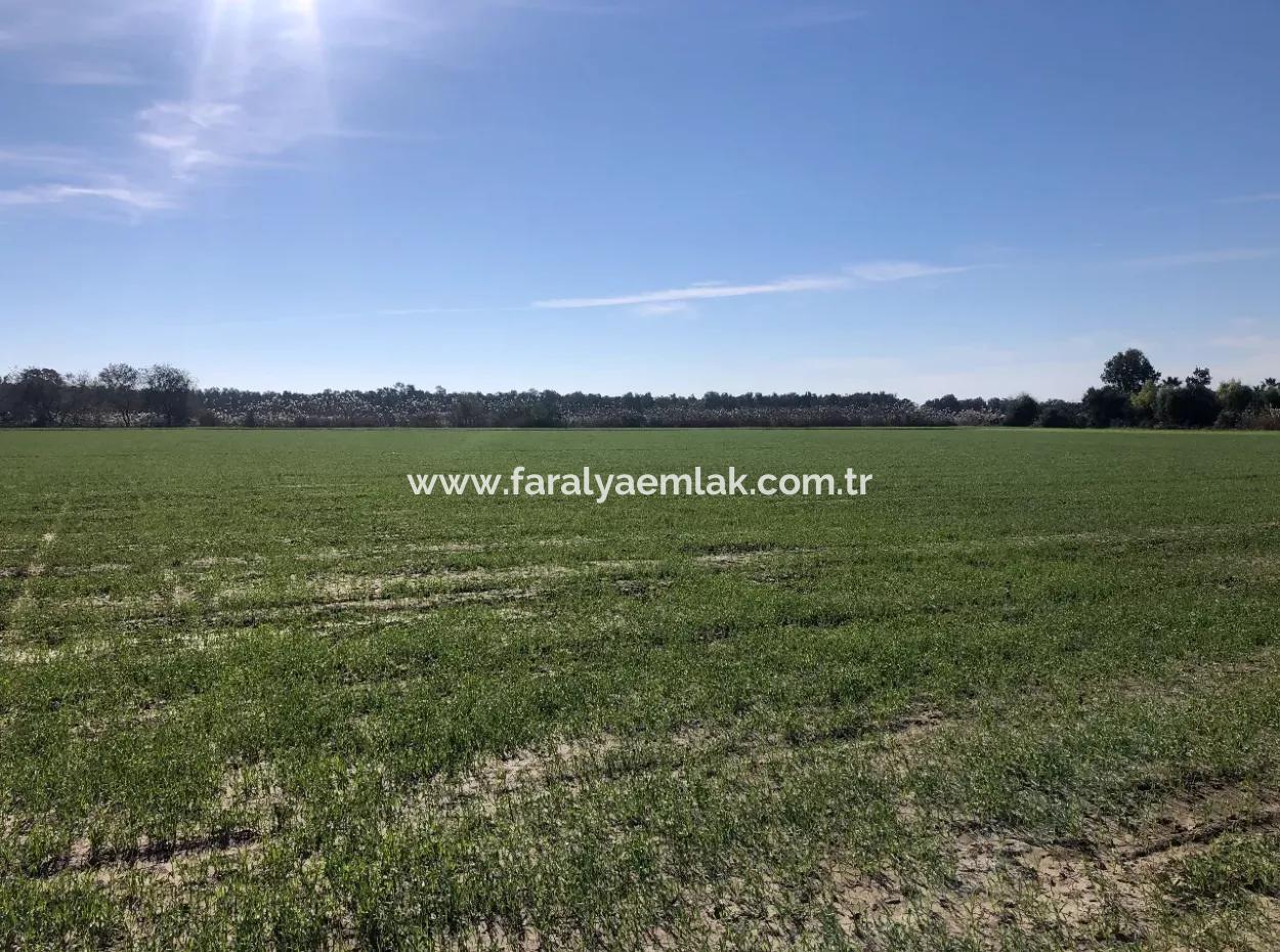 Sarıgermede Satılık Arsa Deniz Manzaralı 30,000M2 Satılık Arsa