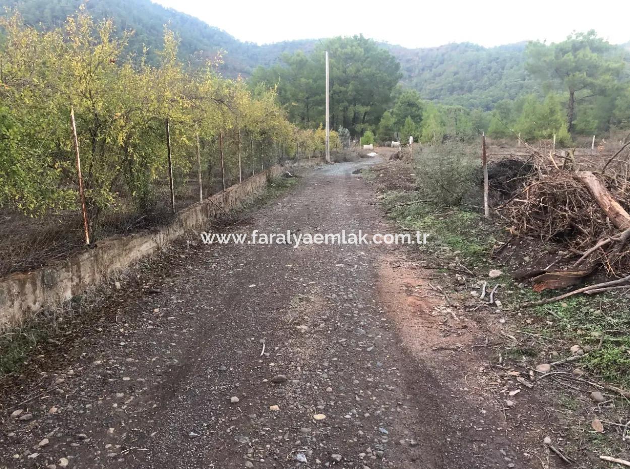 Sultaniye Satılık Arsa 10577M2 Göle Yakın Satılık Arsa