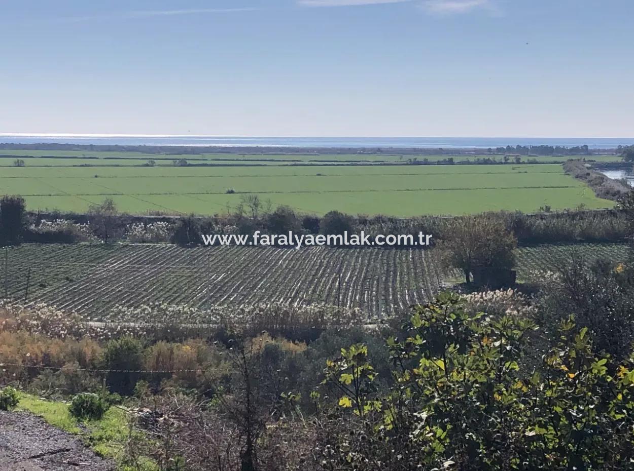 Fevziye Deniz Manzaralı Satılık Arsa