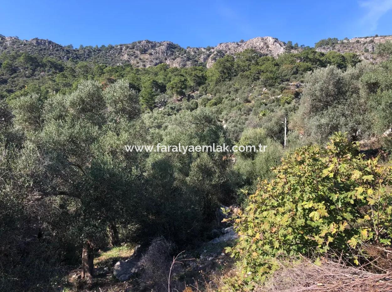 Fevziye Deniz Manzaralı Satılık Arsa