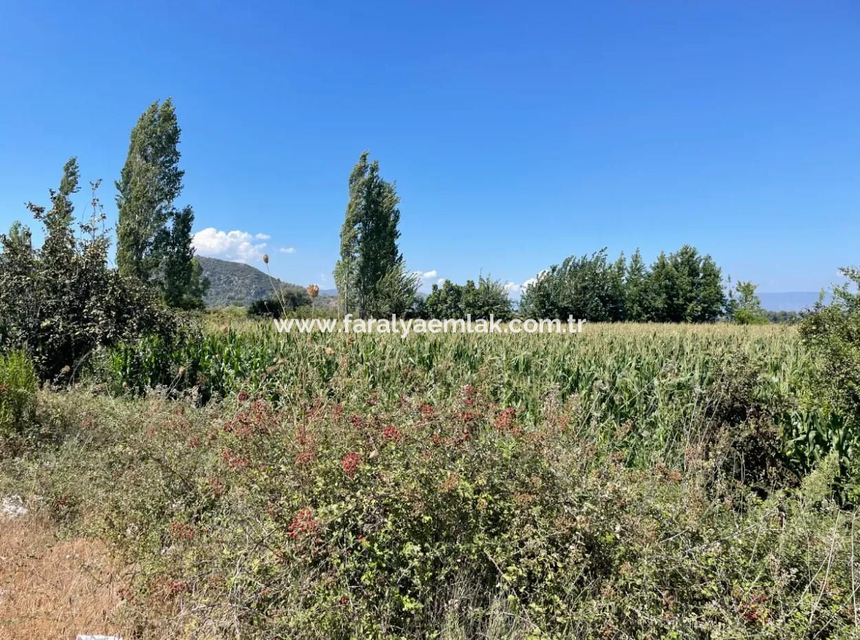 Dalyan Ana Yola Sıfır Satılık 8115M2 Ticari Satılık Arsa