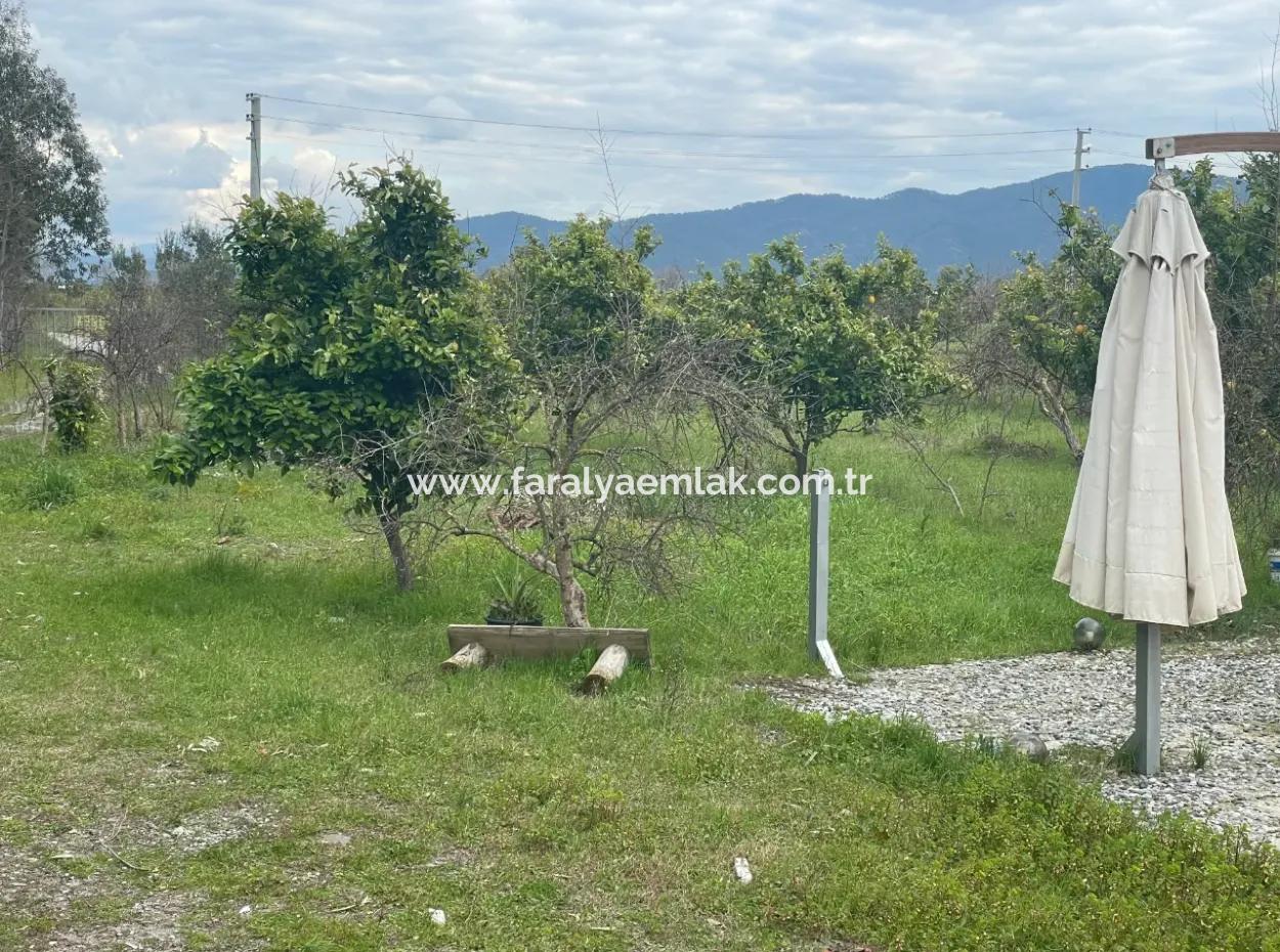 Dalyan Satılık Butik Otel 11.000M2 Arsa İçinde Satılık Bungolevler