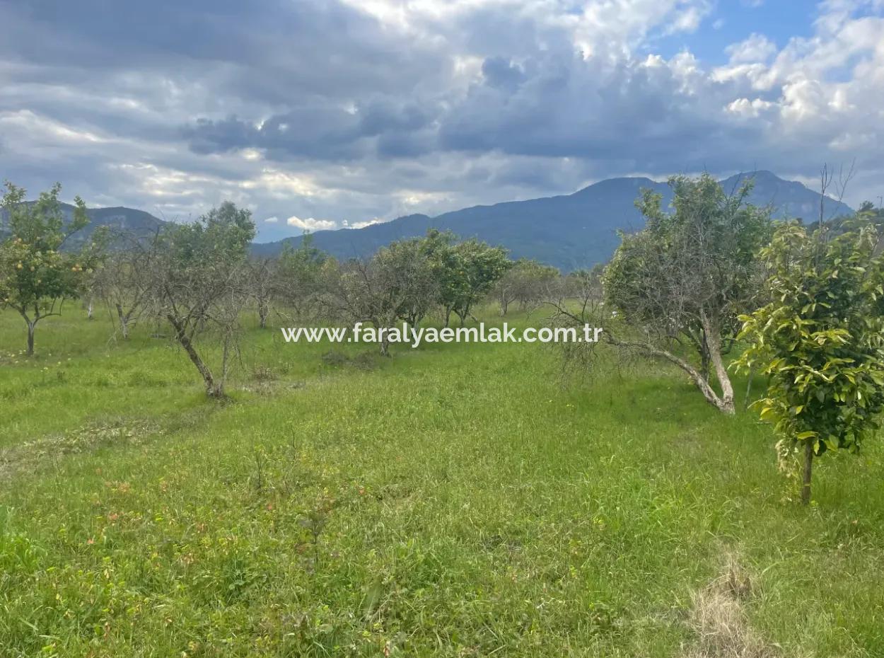 Dalyan Satılık Butik Otel 11.000M2 Arsa İçinde Satılık Bungolevler