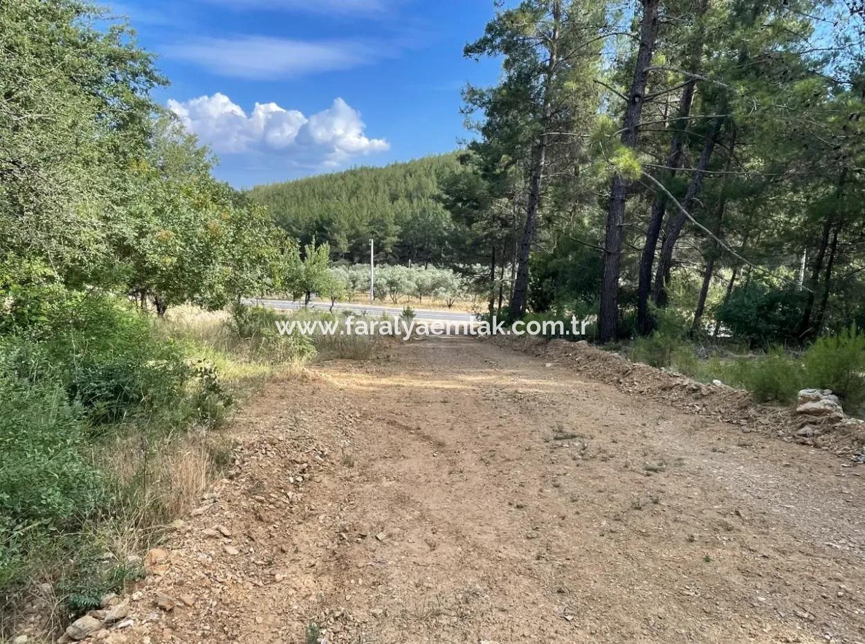 Ula Armutçuk Da 501M2 İmarlı Satılık Arsa