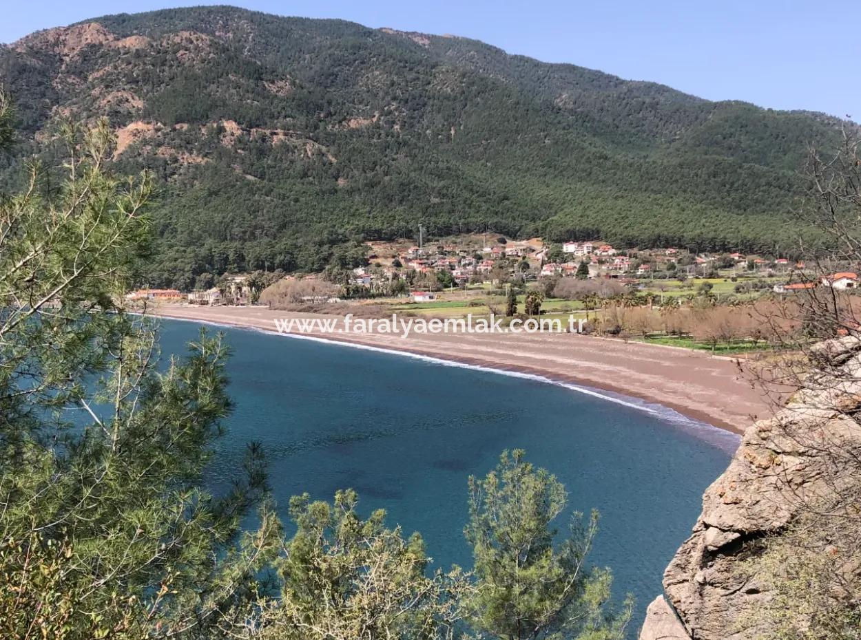 Ekincik'de Denize Yakın Manzaralı 3250M2 Satılık Arazi