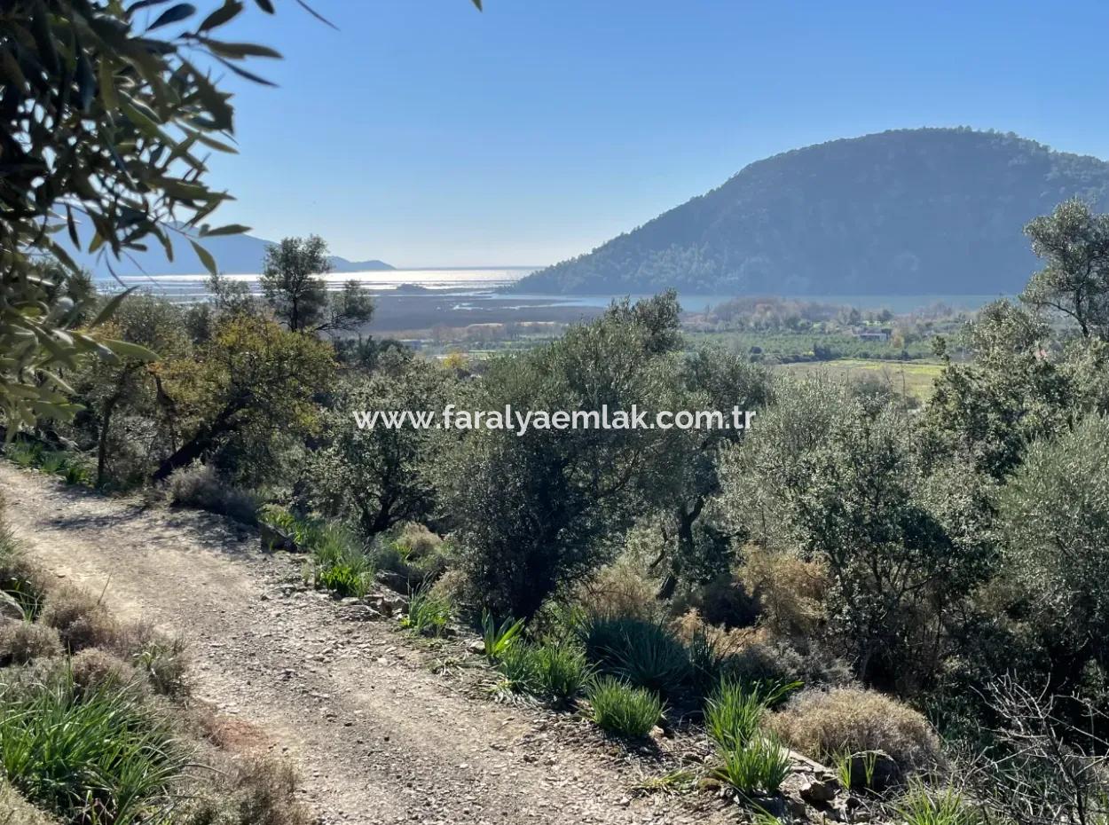 Çandır'da Deniz Ve Göl Manzaralı 950M2 Satılık 2B Tarlası