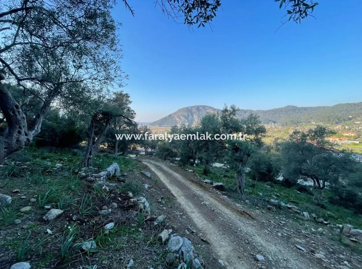 Çandır Göl Deniz Manzaralı 2,806M2 2B Satılık Tarla