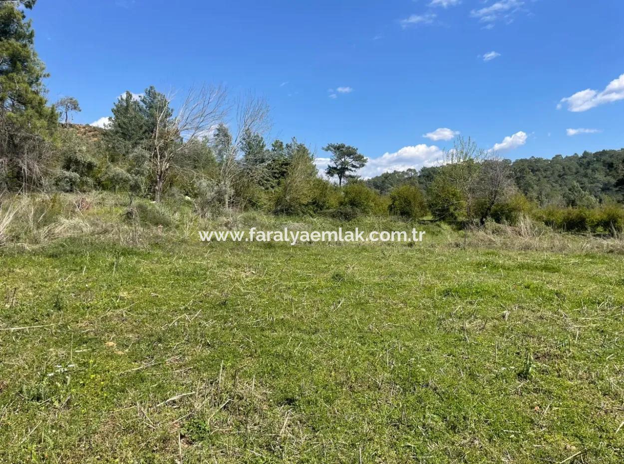 Zeytinalanın'da 5650M2 Tarla İçinde Satılık Köy Evi