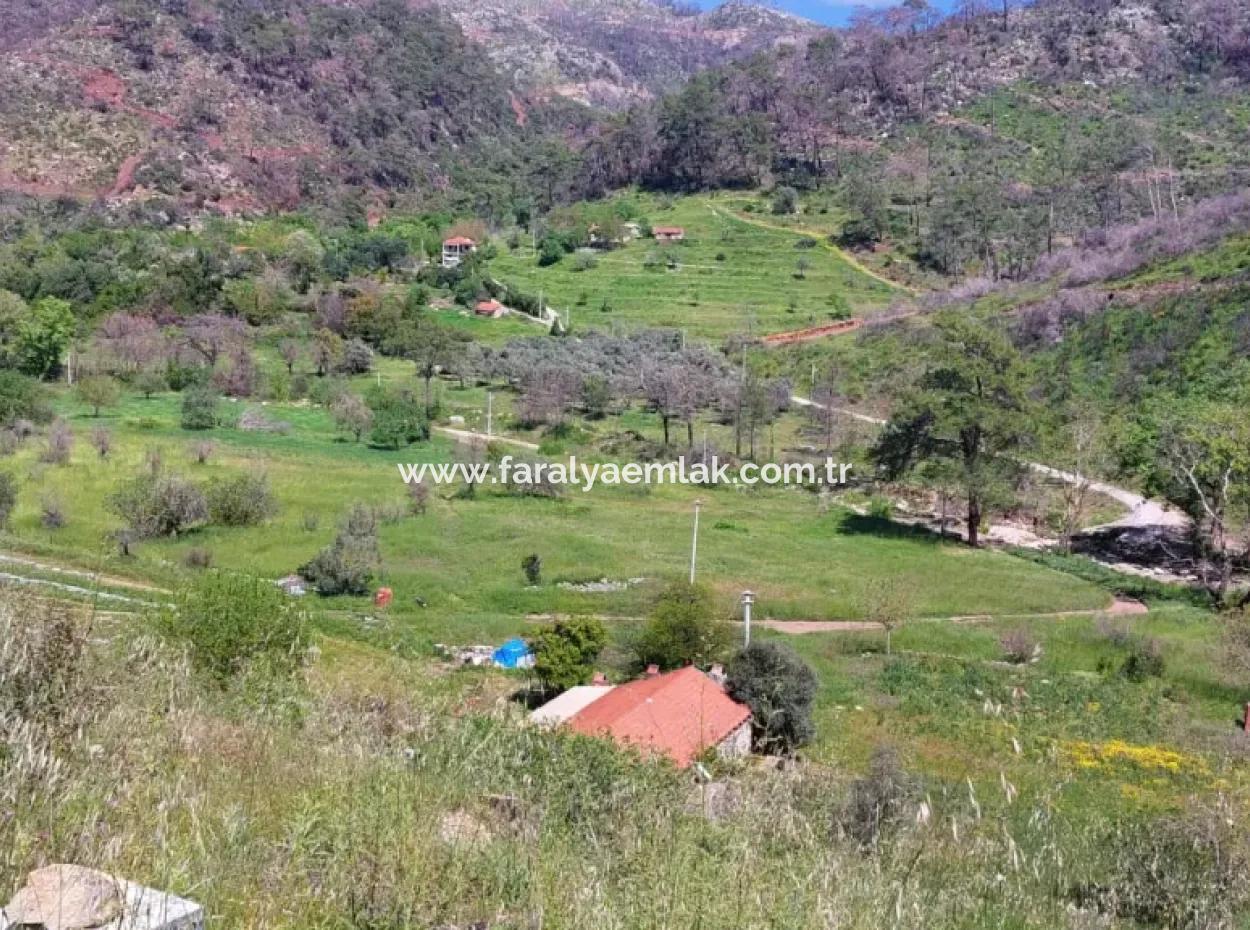 Marmaris Turgut Yatırımlık Satılık 29600M2 Satılık Arazi