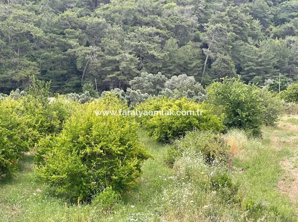 Gökbelde 14,000M2 Satılık Tarla