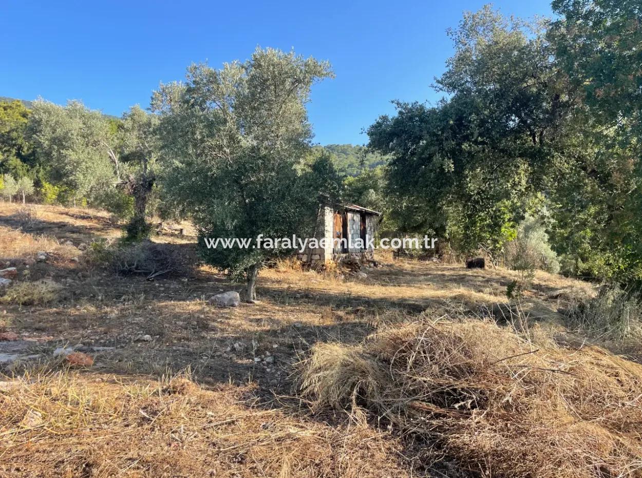 Çandır Full Deniz Ve Göl Manzaralı 500M2 Satılık 2B Tarla