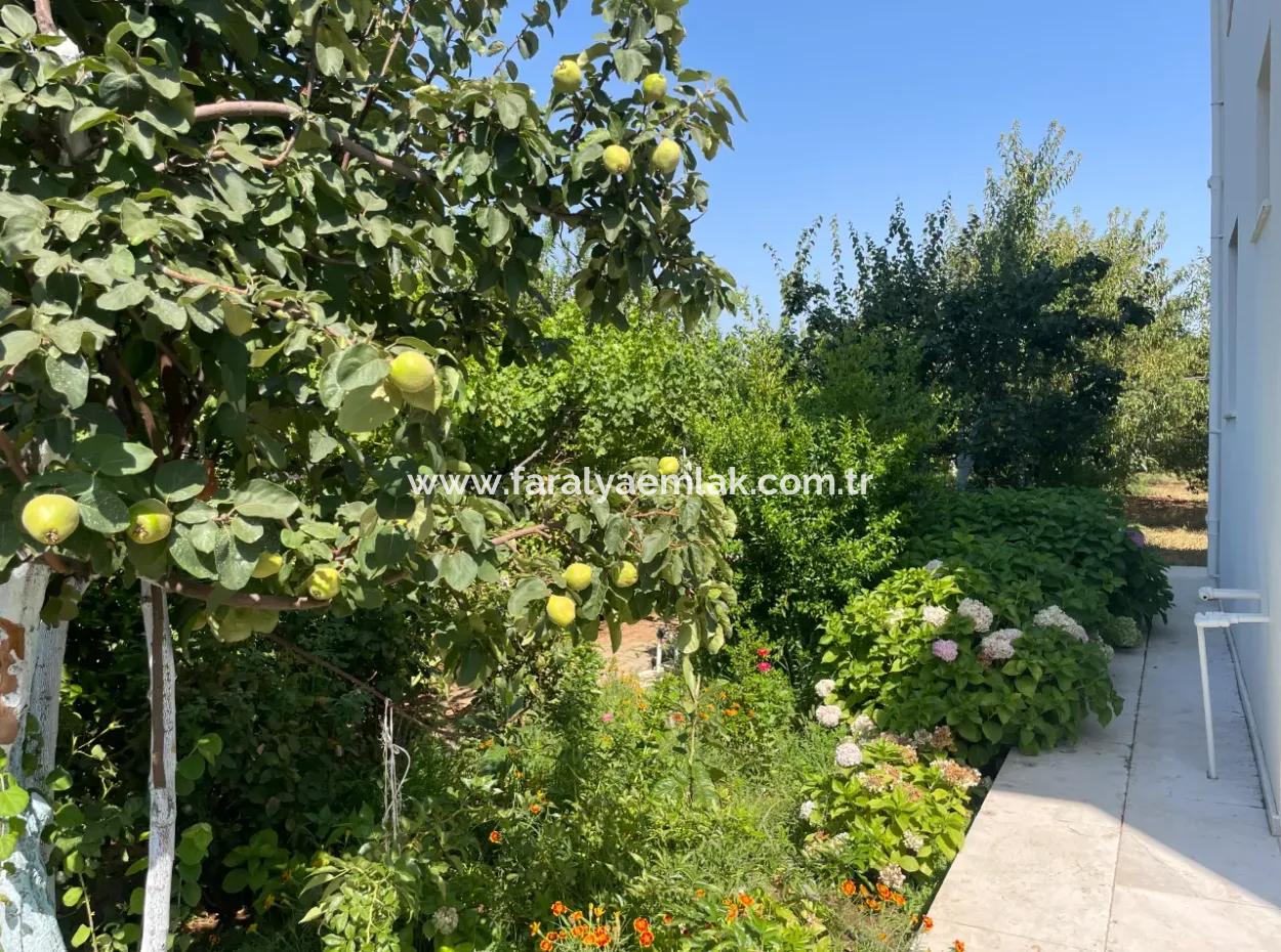 Muğla Ula Köprübaşı Mahallesin'de 2378M2 Arsa İçinde 3+1 Satılık Vlla