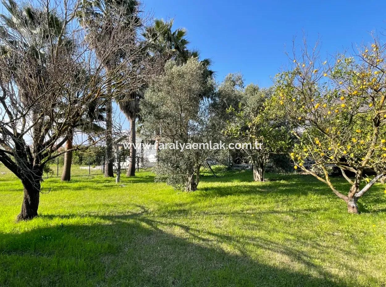 Eskiköy'de 2882 M2 Arsa İçerisinde Müstakil Satılık Tek Katlı Ev