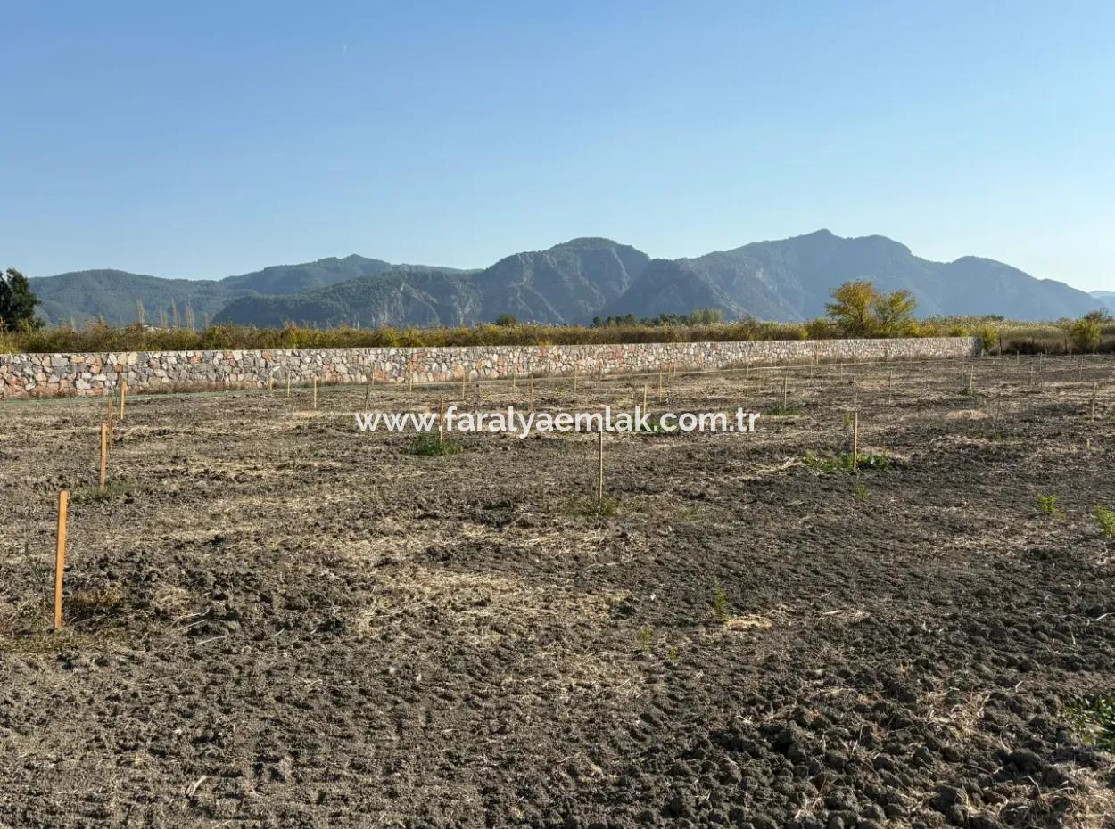 Eskiköy'de 19.663M2 Çiftlik Arazisi Ve Ev Satılıktır