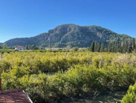 Dalyan Gülpınar'da 6000M2 Arsa İçerisinde 4+2 Satılık Villa